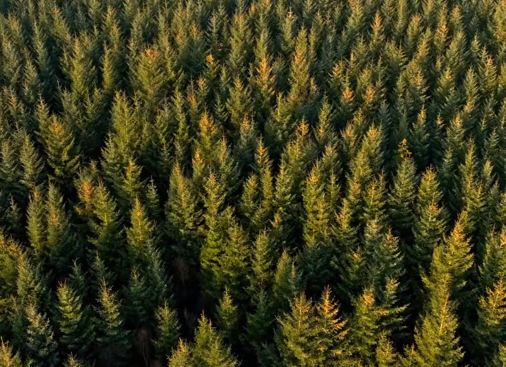 邦克产品视频—奥维塔